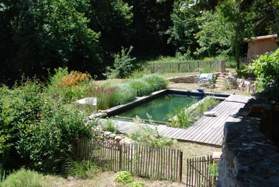 bassins de baignade écologique - traitement de l'eau par les plantes
