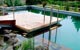 Ponton bois , piscine biologique